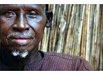 Comunit Senegalese